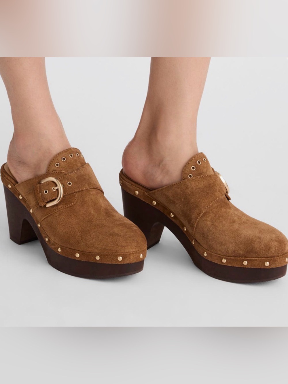 Madewell New in Box: The Wes Buckle Strap Clog